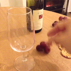 wp21d6911d.gif